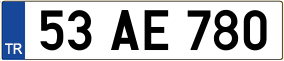 Truck License Plate